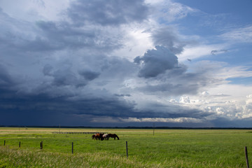 Prairie Storm Clouds Canada