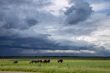 Prairie Storm Clouds Canada