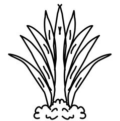 Grass on white background