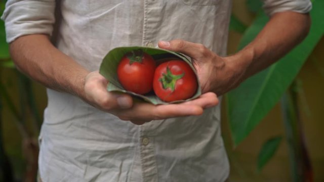Eco-friendly product packaging concept. Vegetables wrapped in a banana leaf, as an alternative to a plastic bag. Zero waste concept. Alternative packaging