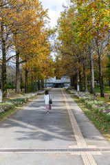 並木道　紅葉　女性モデル