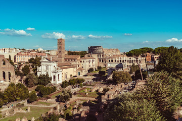 Fototapeta na wymiar Coliseum and forum from Palatine Hill in Rome