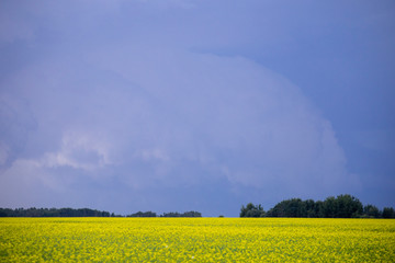 Prairie Storm Clouds Canada
