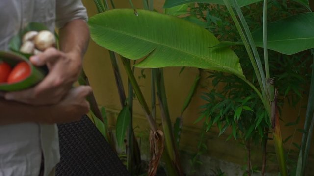 Eco-friendly product packaging concept. Vegetables wrapped in a banana leaf, as an alternative to a plastic bag. Zero waste concept. Alternative packaging