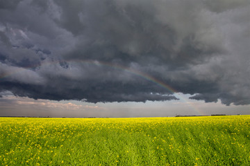Prairie Storm Clouds Canada