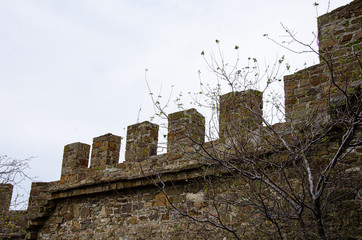 Tree branches against the background wall of an old, ancient fortress.