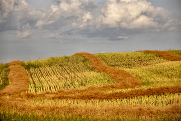 Prairie Storm Clouds Canada