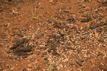 background of soil