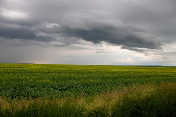 Prairie Storm Clouds Canada