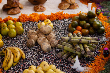 a real rural traditional mexican altar for day of the dead with marigold petals, yellow flowers, oranges, guava, bananas, Mexican yam bean, Mexican turnip, jicama, bread on maize