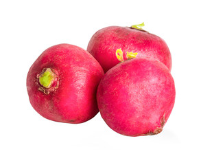 radish isolated on white background