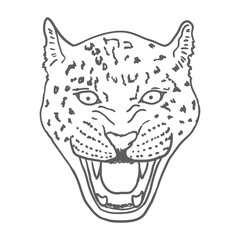Amur Leopard Roar face or head. Hand drawn Leopard Head animal or predator isolated on white background. Vector