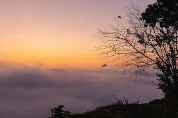 Obraz premium beautiful colorful sunrise sky with mist for background