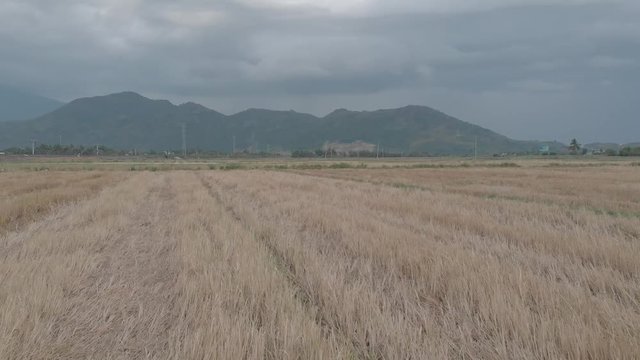 flying camera takes pictures of vietnam fields