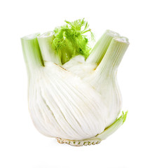 Fresh fennel