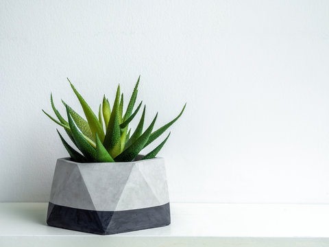 Modern geometric concrete planter. Beautiful concrete pot.