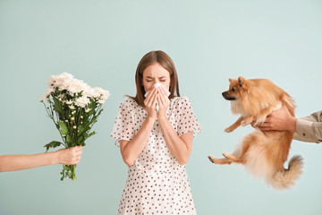People giving flowers and dog to young woman suffering from allergy on light background - obrazy, fototapety, plakaty