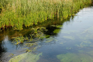 Clean river. We care about the environment