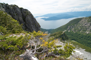 Hiking in the Lions binkert trail in Vancouver