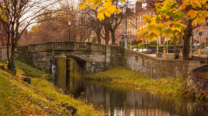 Autumn / Fall scene in Dublin, Ireland. Beautiful autumnal colors and old stone bridge on Grand Canal.