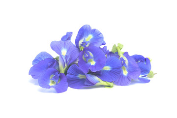 Pile of Butterfly pea flower isolated on white background with clipping path..