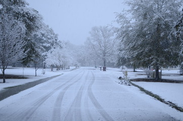Winter in Southern Louisiana: Rarely-Seen Snow-Covered Neighborhood Street