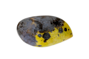 Rotten mango fruit isolated on white background,clipping path