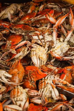 Pile of cooked (boiled) fresh Crabs, Close-up