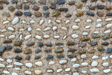Fototapeta premium The top view of the dark and white pebbles pathway is a curved path in the shape of waves in concrete to decorate the pathway in the garden.