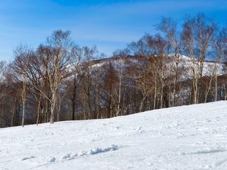 Ski runs and snowy mountain in Niseko in Hokkaido, Japan.