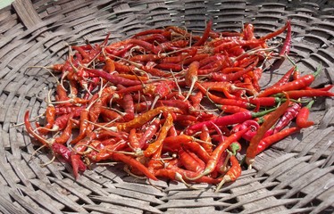 Photo of red chillies kept for drying and curing on a bamboo basket.