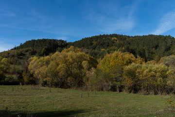 Fototapeta na wymiar Fall colors in Kure National Park