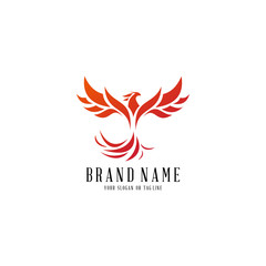 logo design phoenix vector template white background