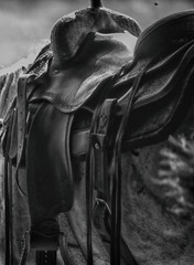 Saddle in Black and white