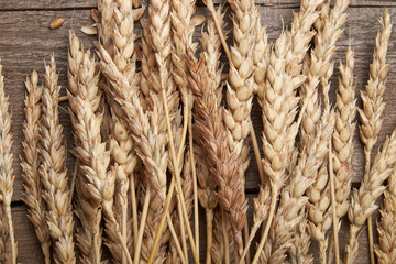 Wheat ears bunch on rustic wooden background.