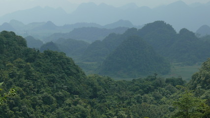 Vietnam, Rice fields, agriculture, village