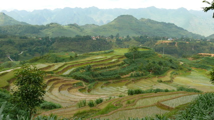 Fototapeta na wymiar Vietnam, landscape, mountains, Ha Giang Province, hiking, traveling, 