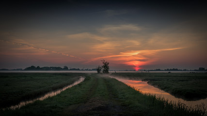 Naklejka premium Silent Sunrise