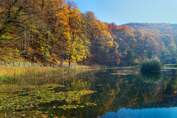 Lake in autumn in Papuk Nature Park, Croatia