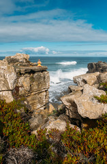 Ocean waves. Scenic bay and rocks