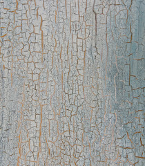 Cracked paint on wooden background, texture. Vintage wallpaper