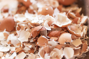 close up the large number of egg shells, chicken eggs are food for eating