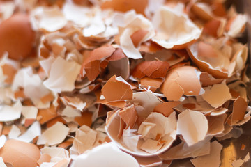 close up the large number of egg shells, chicken eggs are food for eating