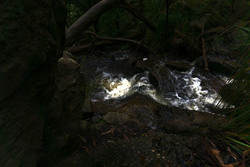 Streaming water of creek in the middle of stones and wild plants
