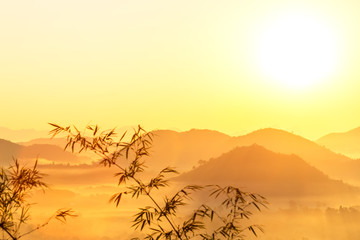 landscape for relaxing in Phu Luang, Loei Province thailand