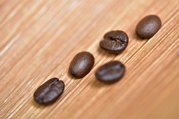 Coffee beans on the dry bark tree