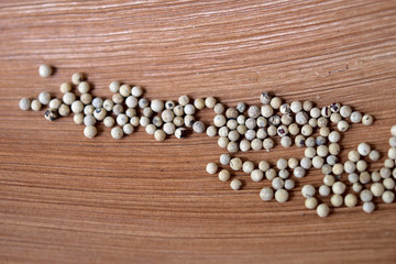 White pepper on the dry bark tree