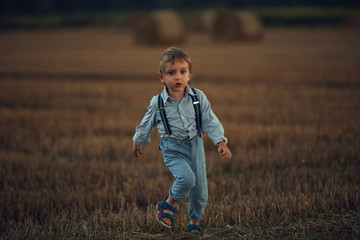 Naklejka na ściany i meble Cute little boy on the corn field