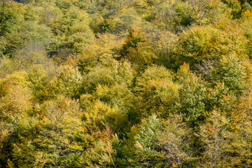 Road and nature view from Tbilisi to Kazbegi by private car , October 19, 2019, Kazbegi, Republic of Gerogia