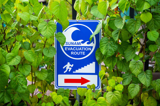 Tsunami Evacuation Route Sign At Hotel